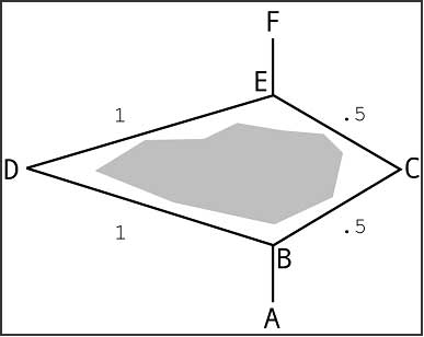 Nest and food source connected by two possible paths