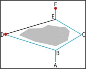 Ants choosing either path with equal probability