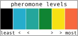 Pheromone level on the two paths over time